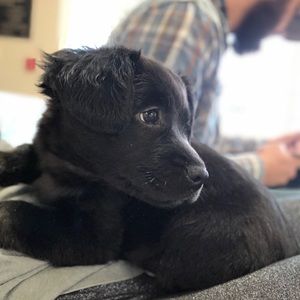 Meet your Posher, Walter